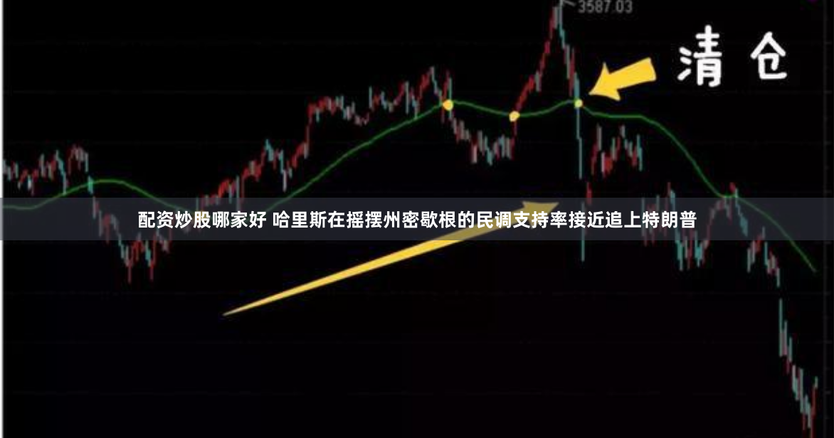 配资炒股哪家好 哈里斯在摇摆州密歇根的民调支持率接近追上特朗普